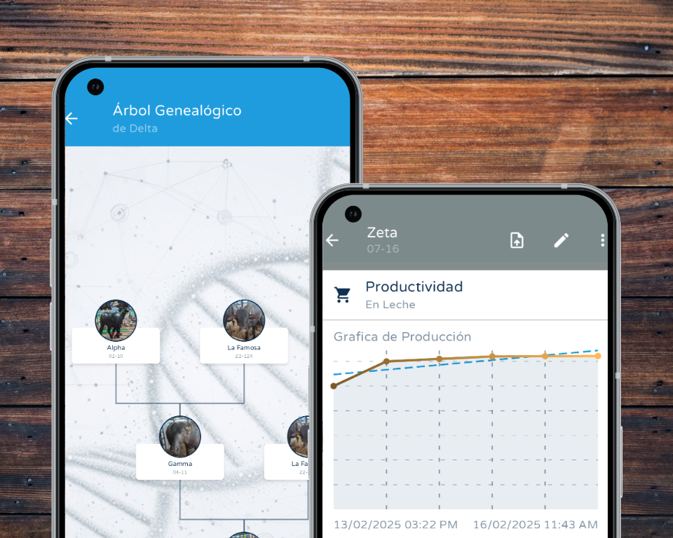 Imagen de Telefono que muestra la Intefaz de Mi Ganado, el mejor Sistema de Gestion de Ganado Vacuno U otros
